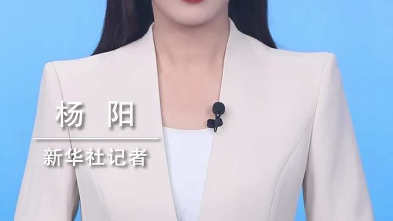 上海SaaS平台排名背后的考量因素